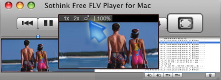Free online flv player